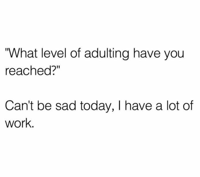 Text meme about adulthood reading what level of adulting have you reached with a relatable adulting work response.
