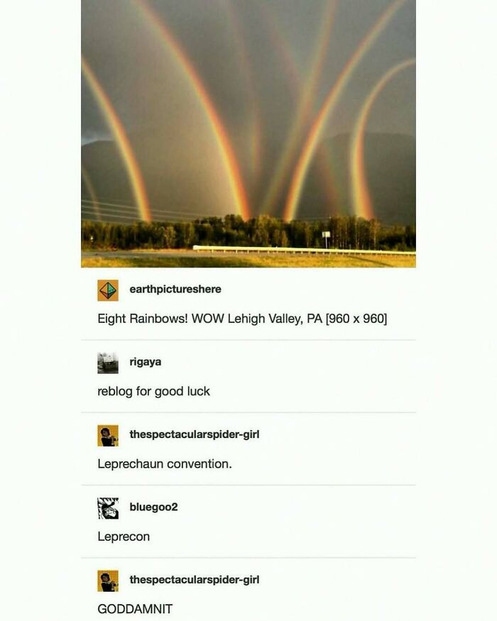 A photo of eight vibrant rainbows over a forest with humorous meme comments about a leprechaun convention.