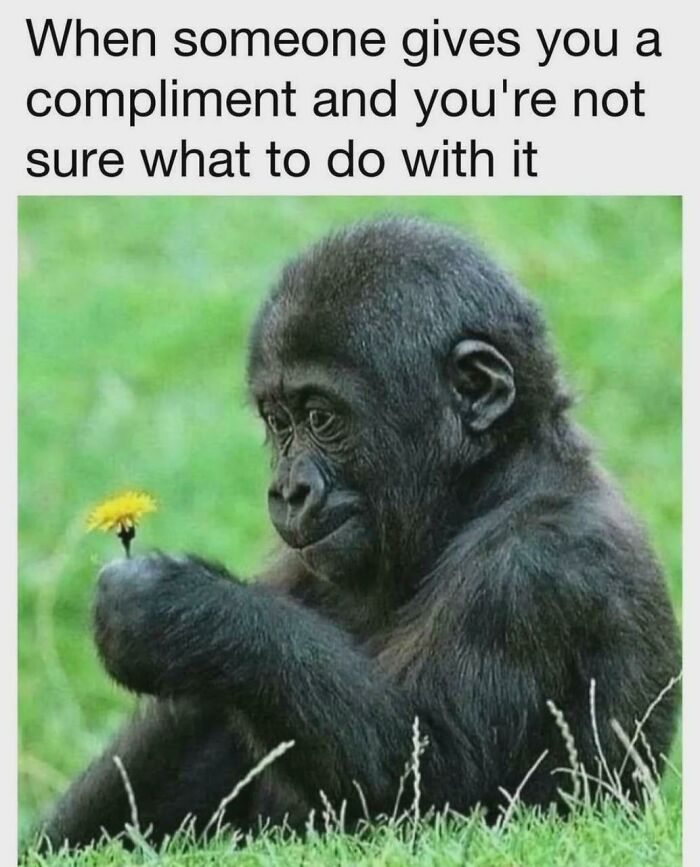 Funny-Relatable-Autism-Neurodivergent-Memes