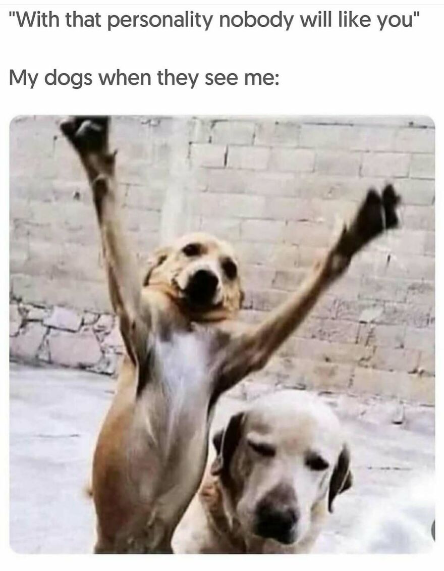 Funny-Relatable-Introvert-Memes