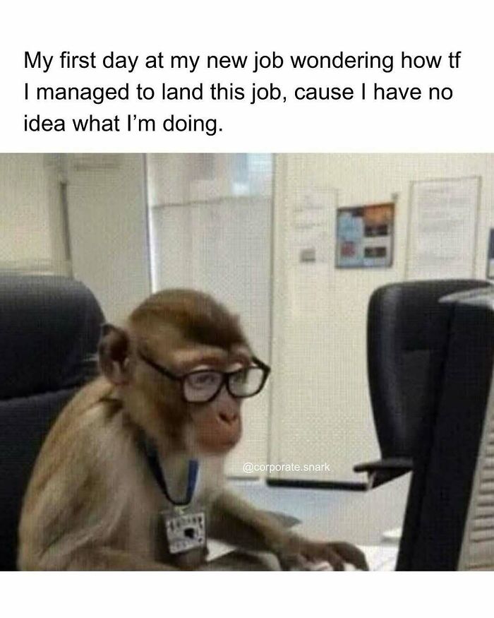 Monkey wearing glasses working at a computer with a work meme about uncertainty on the first day at a new job.