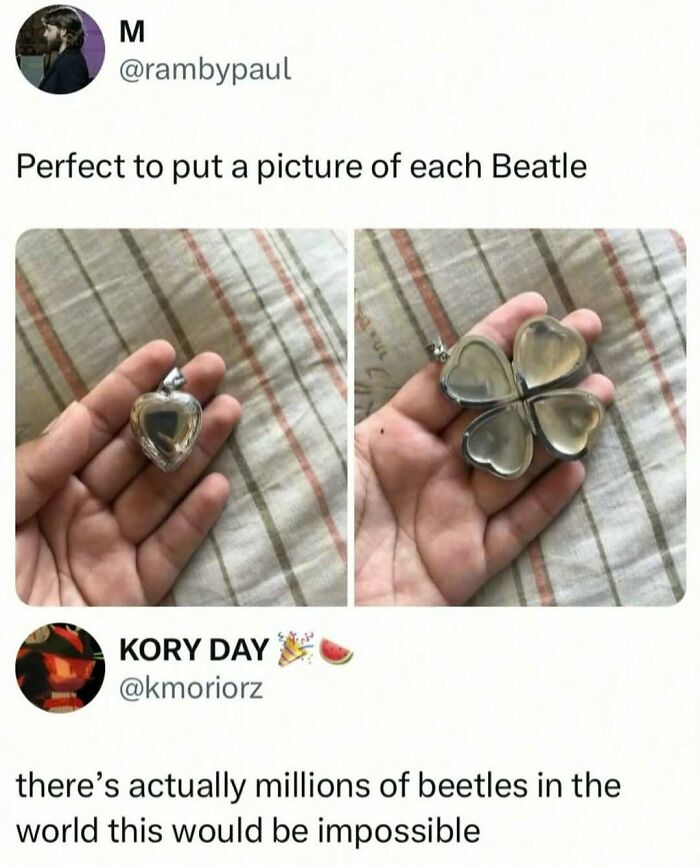 Hand holding a heart-shaped locket that opens to four hearts, featured in wild memes for a fun meme collection.