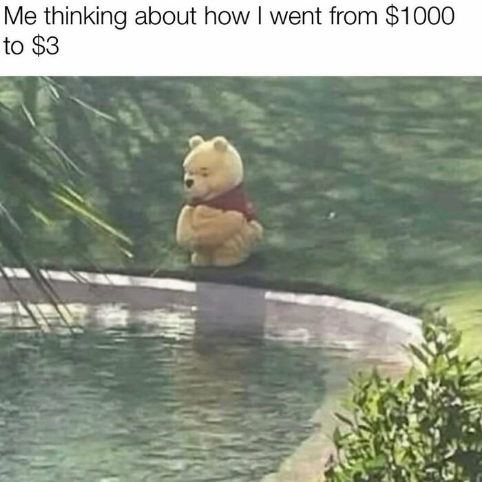 Teddy bear sitting by a pool with arms crossed, reflecting on spending money, perfect for meme scrolling chuckle moments.