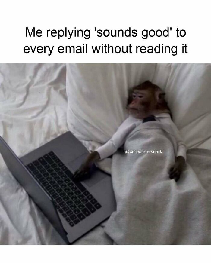 Monkey lying in bed with laptop covered by blanket, humorously representing work memes about not reading emails.