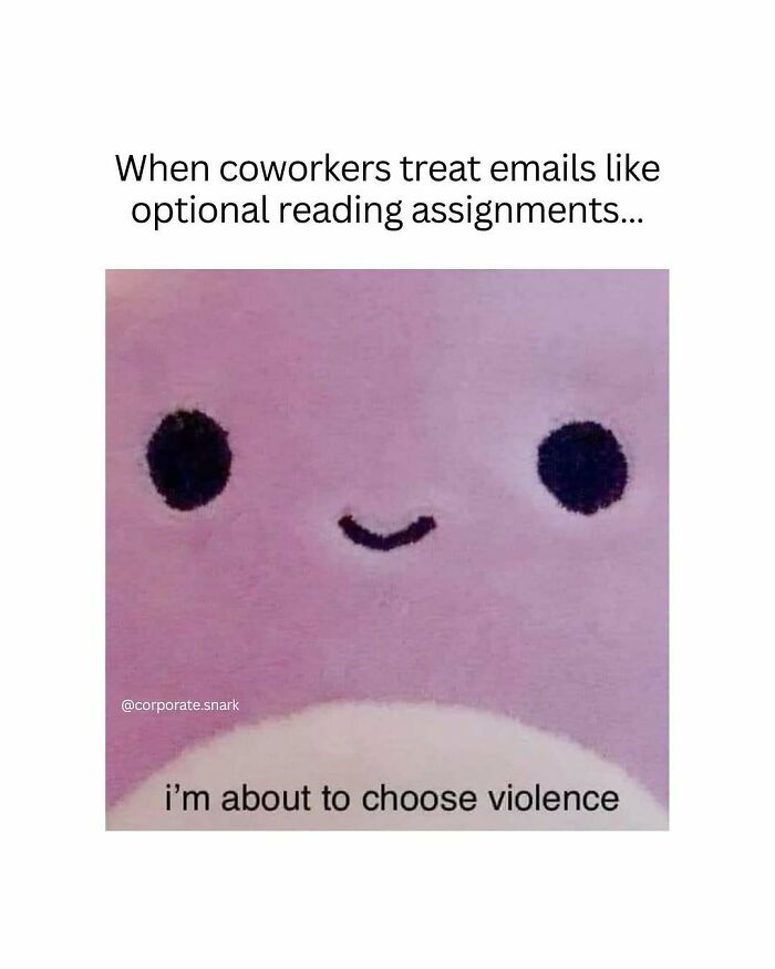 Cute plush face meme about coworkers ignoring emails, illustrating work memes to survive meetings that should have been an email.