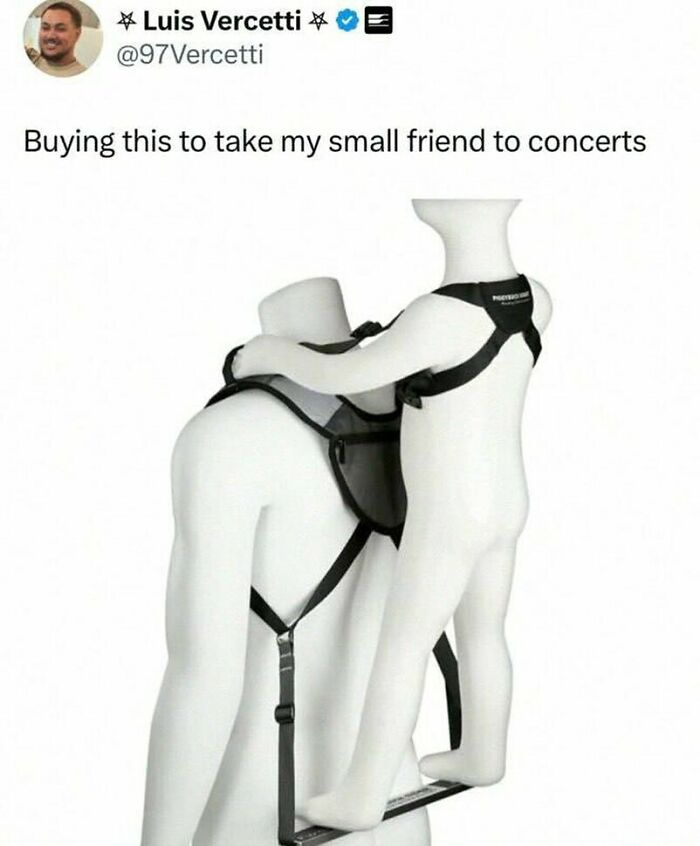 Mannequin carrying smaller mannequin in a harness designed for taking a small friend to concerts, a wild meme concept.