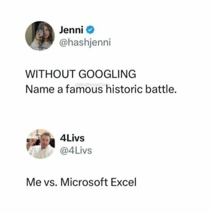Relatable meme showing a funny battle between a person and Microsoft Excel about adulthood challenges.