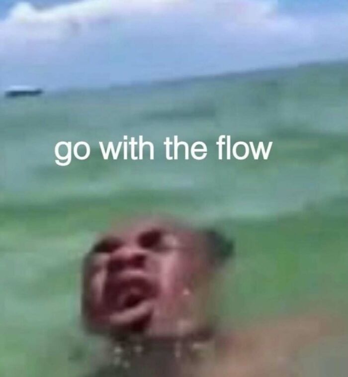 A humorous meme showing a person struggling in water with caption encouraging to go with the flow for meme scrolling chuckles.