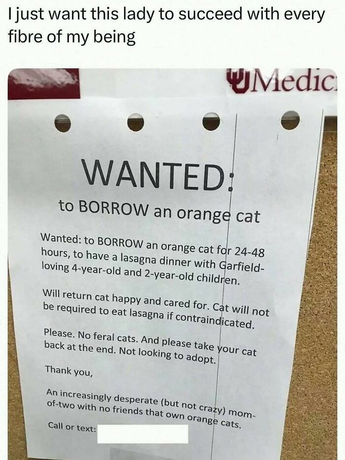 Funny wanted poster asking to borrow an orange cat for lasagna dinner, featured in unhinged and wild memes collection.