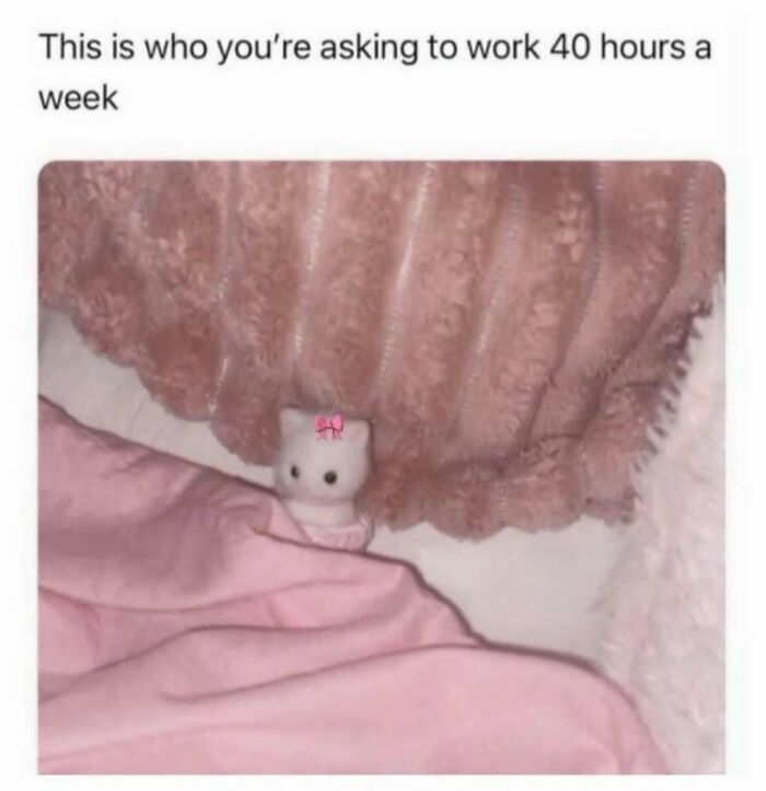 Cute small cat peeking from under a pink blanket, representing work memes about surviving long work hours.