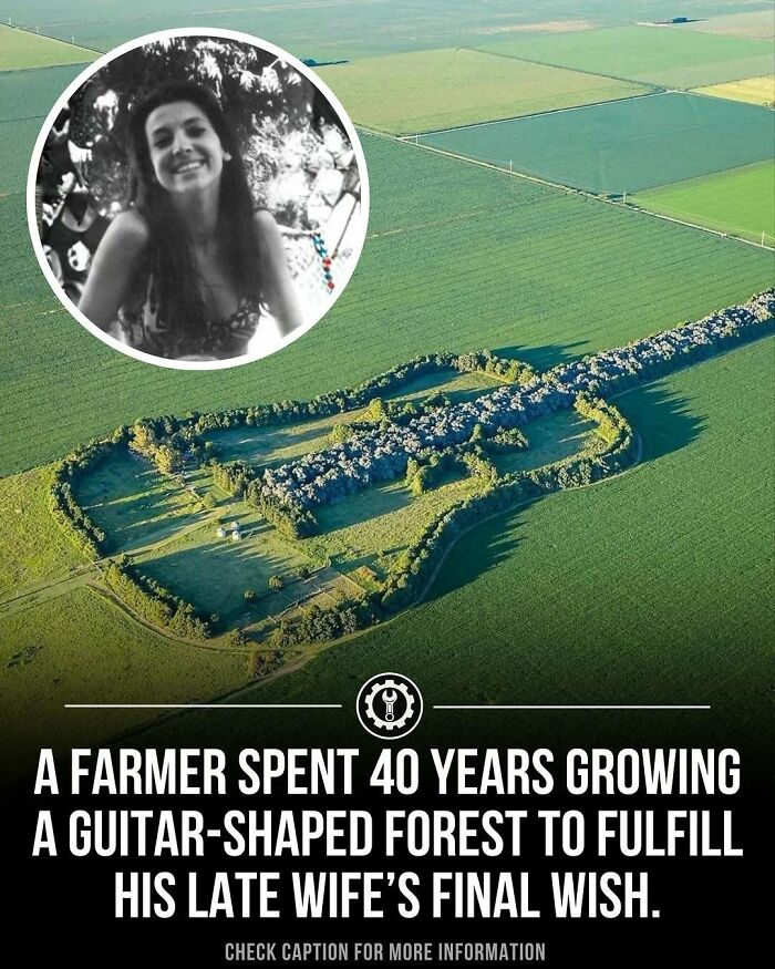 A farmer spent 40 years creating a guitar-shaped forest, showcasing amazing facts about how everything is made.