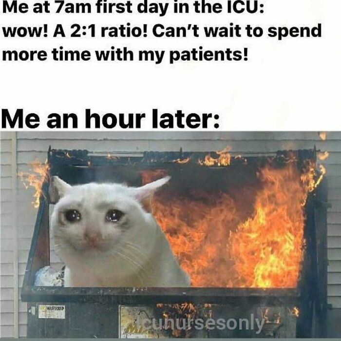 A relatable nurse meme showing a crying cat in a burning dumpster, illustrating the reality of hospital life.