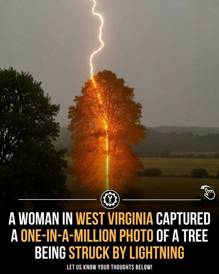 Lightning striking a tree in West Virginia, showcasing how everything is made through natural electrical phenomena.