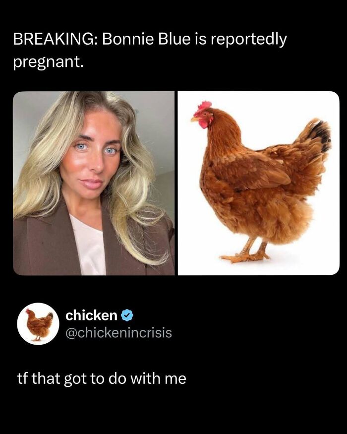 Funny post showing a woman and a chicken with a humorous pregnancy claim, part of funny and interesting posts to brighten your day.
