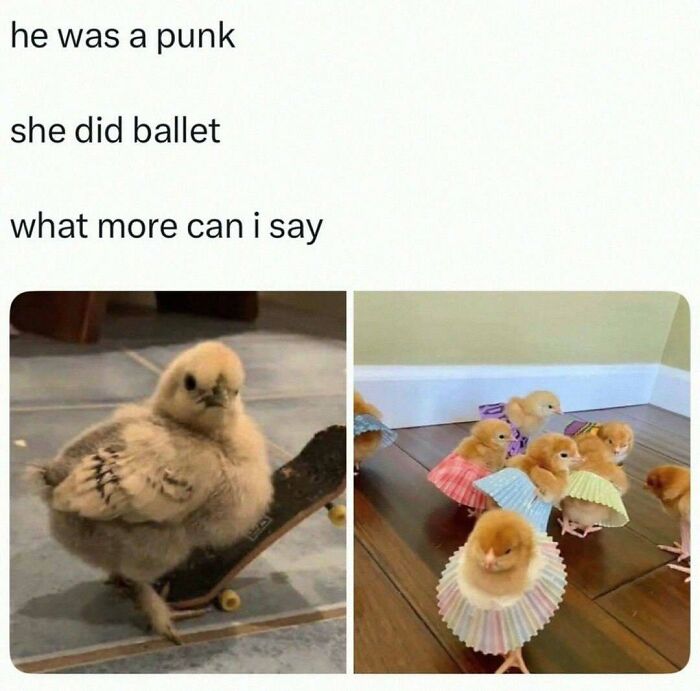 Cute chick skateboarding and chicks dressed in cupcake liners, showcasing unhinged and wild memes to brighten your day.
