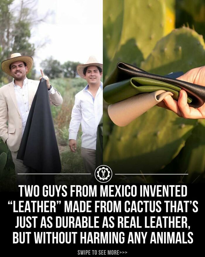 Two men from Mexico showing durable cactus leather, a sustainable alternative to real leather without harming animals.