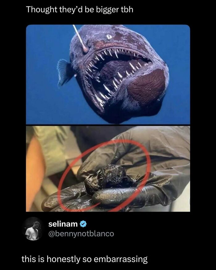 Deep-sea fish comparison showing big teeth in water versus a small actual size held in gloved hand, funny and interesting post.