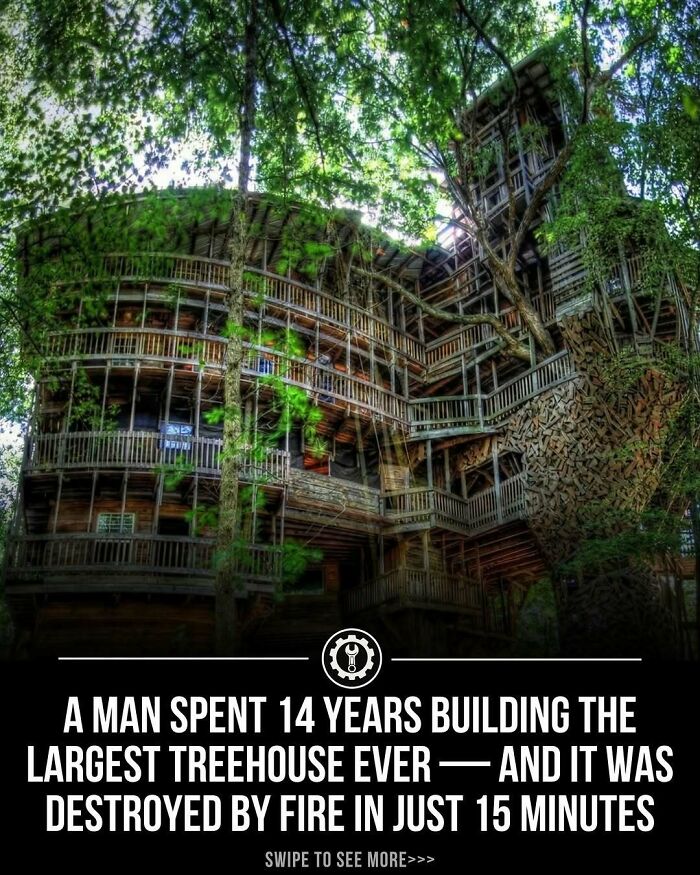 Large wooden treehouse surrounded by green trees, showcasing craftsmanship and construction in how everything is made.