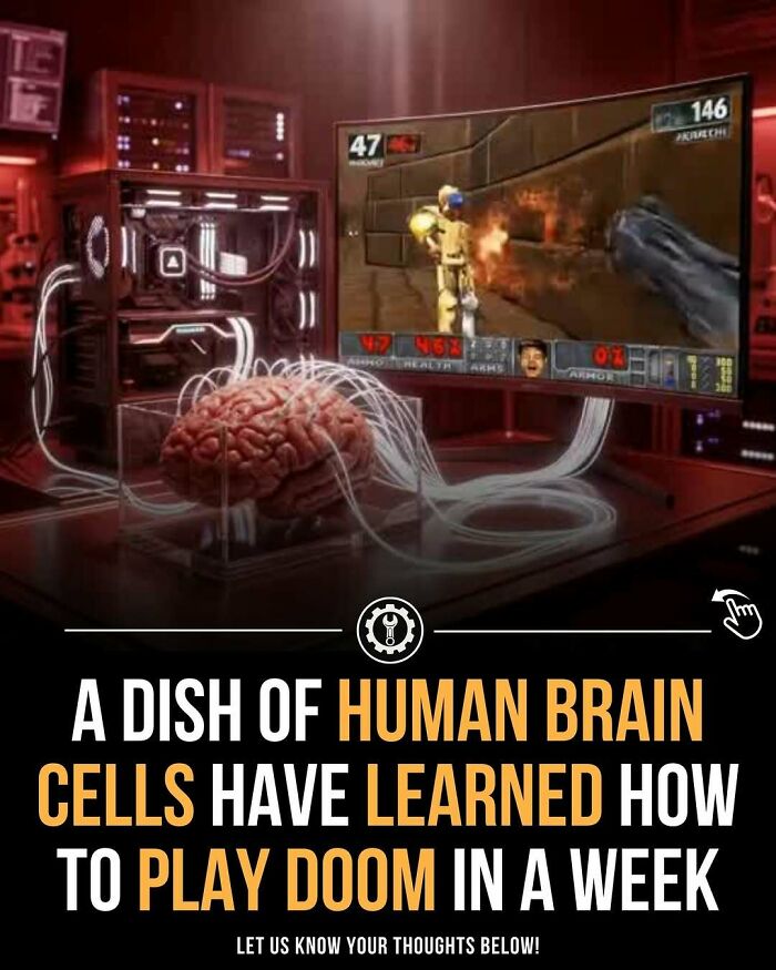 Human brain cells connected to computer system, showcasing fascinating facts about how everything is made.