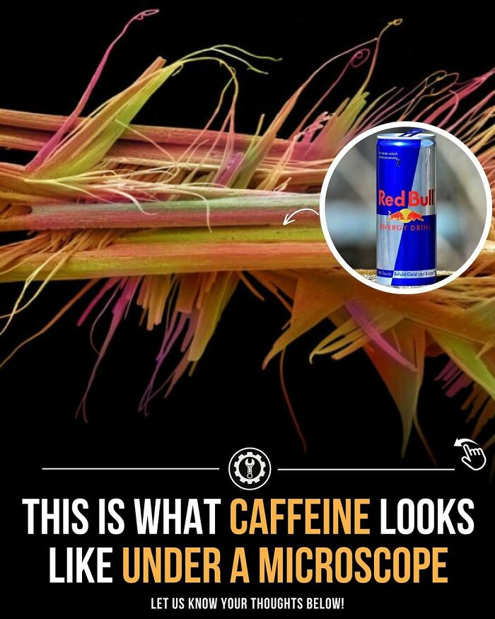 Close-up of caffeine crystals under a microscope with an inset image of a Red Bull can, illustrating how everything is made.