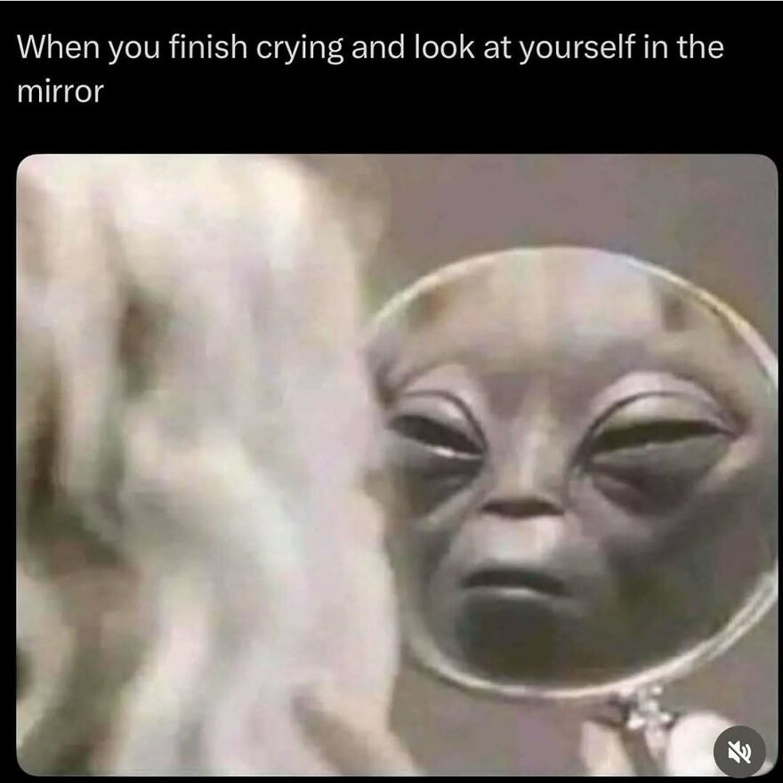 A funny meme showing an alien's tired, sad reflection in a mirror. Relatable memes for when you need a distraction.