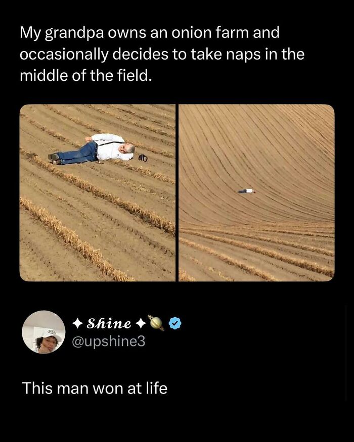 Man taking a nap in the middle of his grandpa's onion farm, a funny and interesting post to brighten your day.