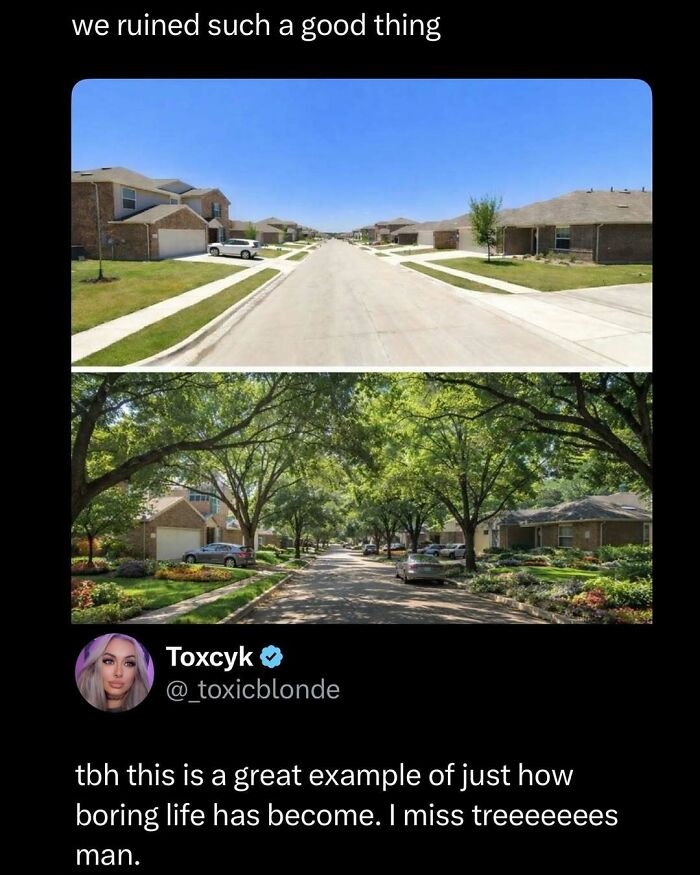 Comparison of a suburban street without trees and a tree-lined street, illustrating changes that affect daily life humor in posts.