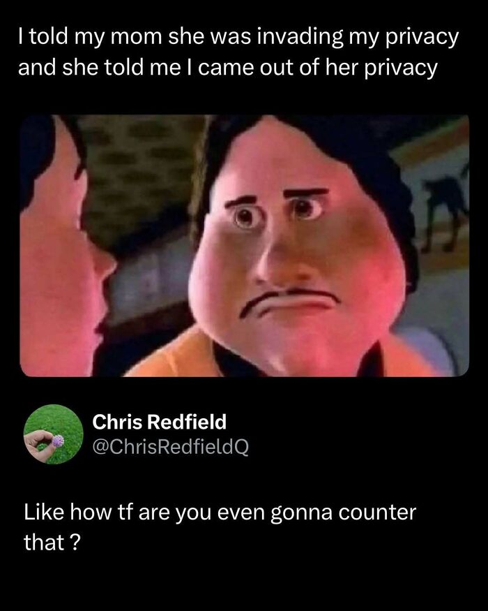 Meme with a funny conversation about privacy, featuring a surprised animated character from funny and interesting posts.