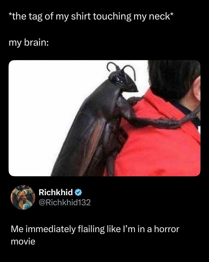 Giant bug on a person's shoulder illustrating a funny meme for posts that might make your day a little better.