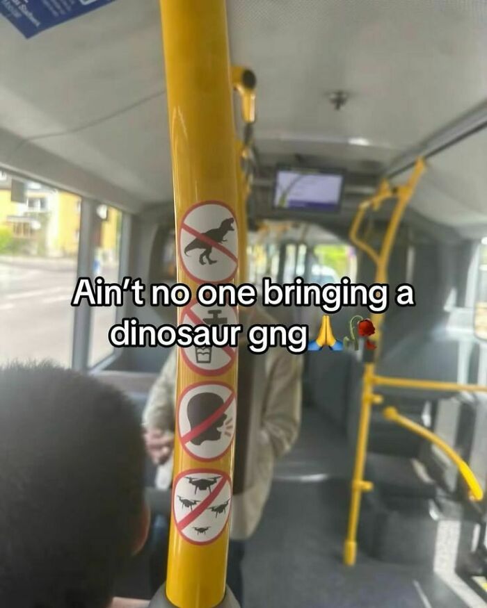A bus pole with several unhinged pics of prohibited items, including a dinosaur, making absolutely no sense but are hilarious.