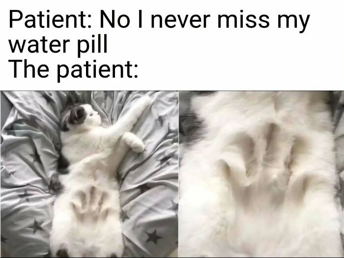 Funny nurse meme showing a cat with a handprint indentation on its belly, captioned with a patient denying missed water pills. Relatable nurse memes.
