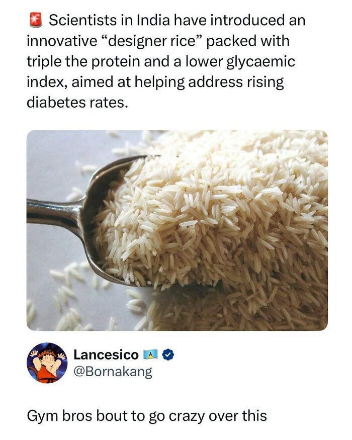 Scoop of designer rice with triple protein and lower glycaemic index aimed to help diabetes in funny and interesting posts.