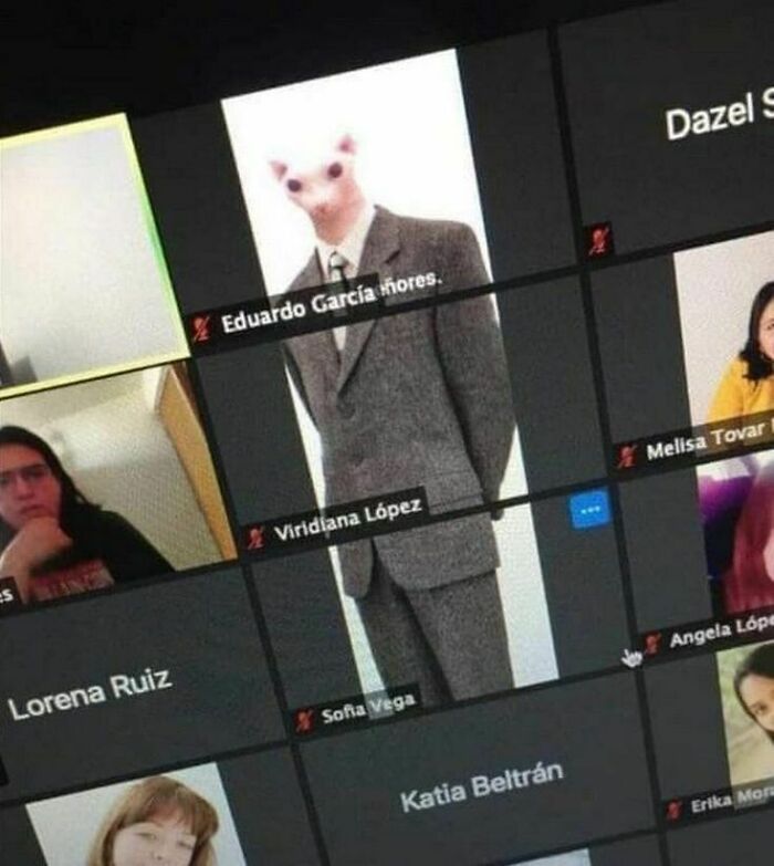 A hilarious unhinged pic: A Sphynx cat in a suit appears on a Zoom call, among other participants.
