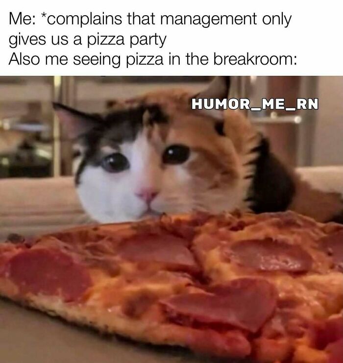 Cat looking eagerly at pizza with caption about healthcare staff humor and pizza party excitement.