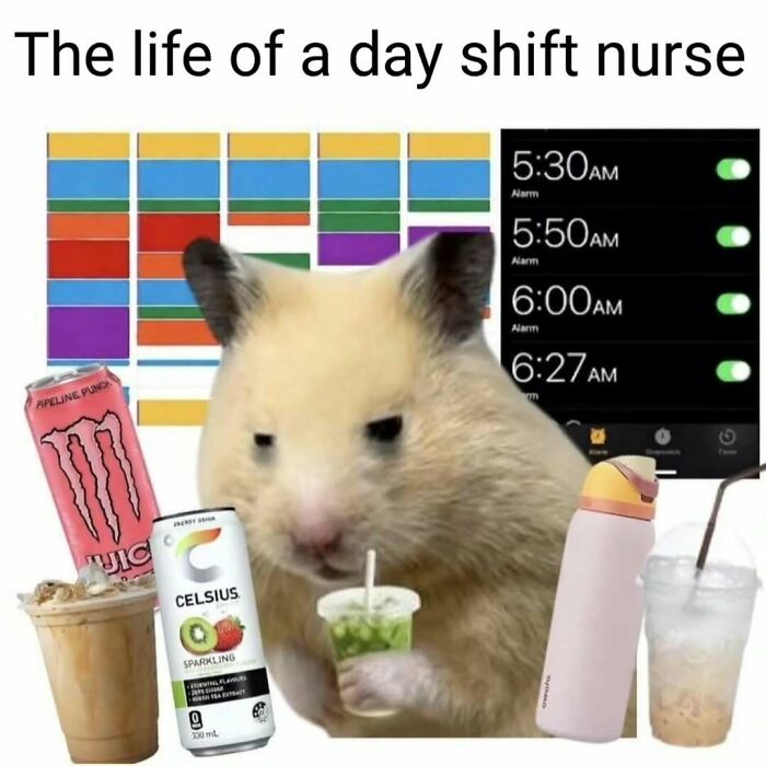 A hamster meme representing nurse life, surrounded by energy drinks, coffee, and multiple alarms, showing relatable hospital life.