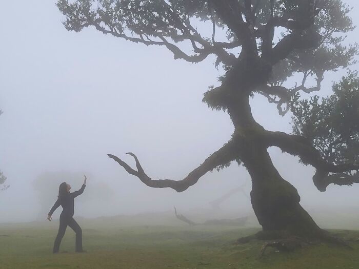 Sharing The Planet, Finalist: Embrace - An Invitation By Katia Ostrowski