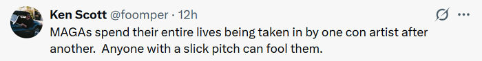 Screenshot of Ken Scott's tweet about MAGAs being deceived by con artists. Relevant to a MAGA influencer's identity reveal.