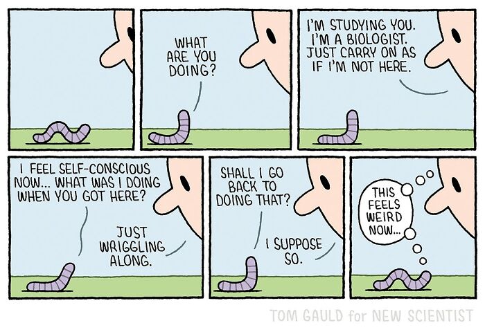 52 Brilliant Comics By Tom Gauld That Turn Books, Art, And Science Into Pure Genius