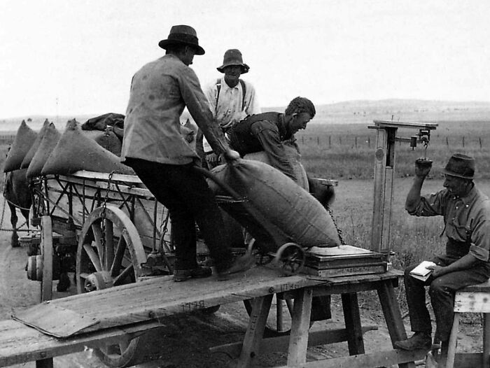 Black and white rare photo of workers loading sacks onto a cart in a rural setting from a time we will never experience.