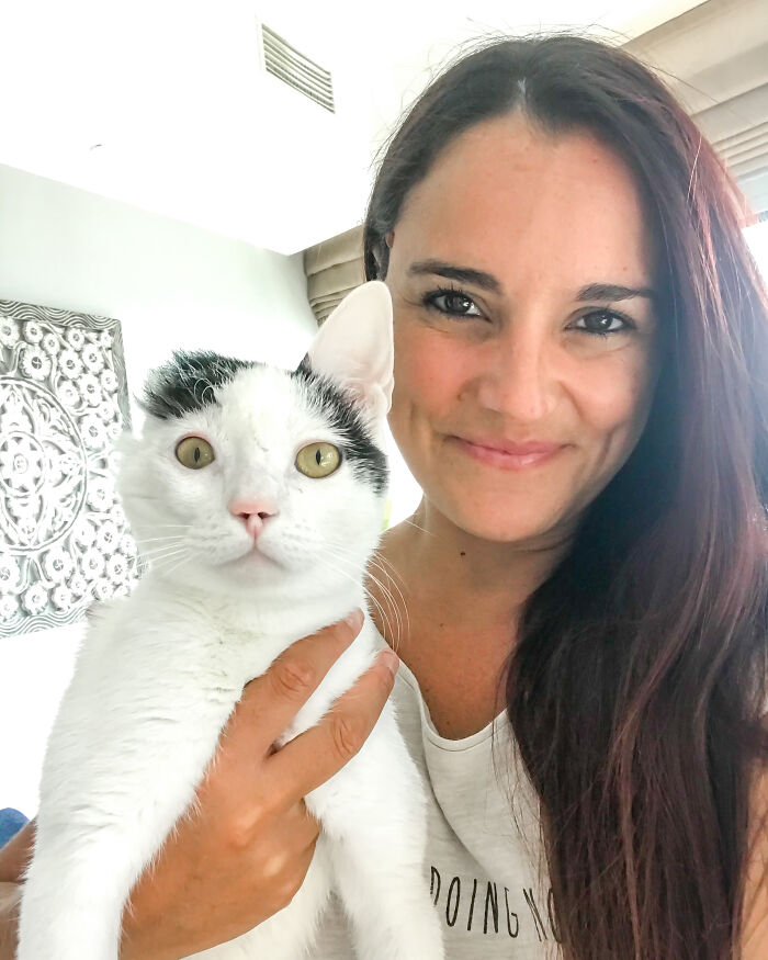 Gatinhos gravemente feridos encontrados nas ruas de Dubai fazem uma recuperação incrível com um veterinário atencioso