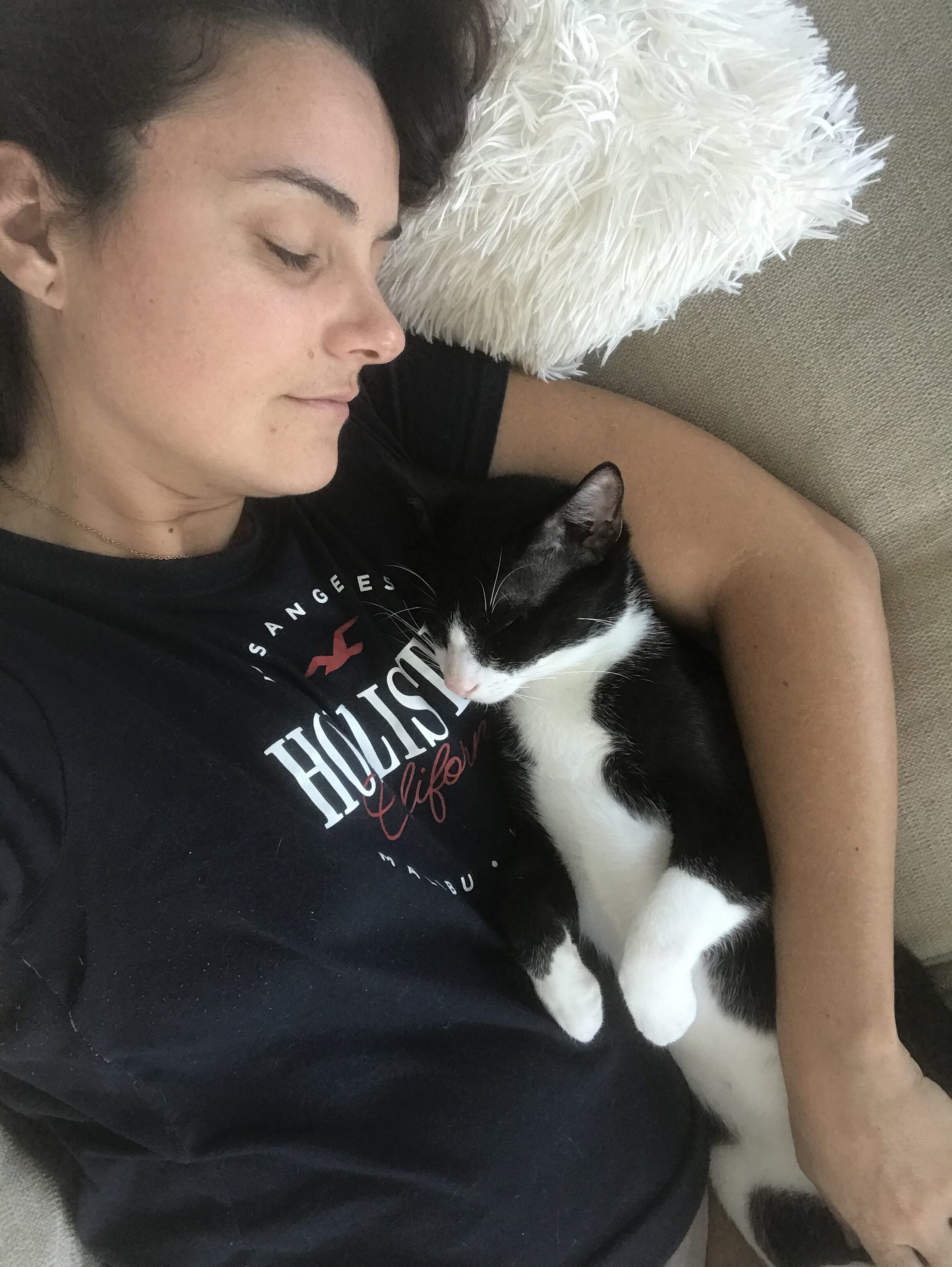 Gatinhos gravemente feridos encontrados nas ruas de Dubai fazem uma recuperação incrível com um veterinário atencioso