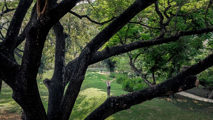 “Forma em Y” por Witsawarut Kekina