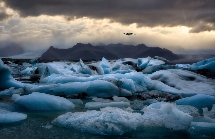 Jokulsarlon Glacierking Laurisilva
