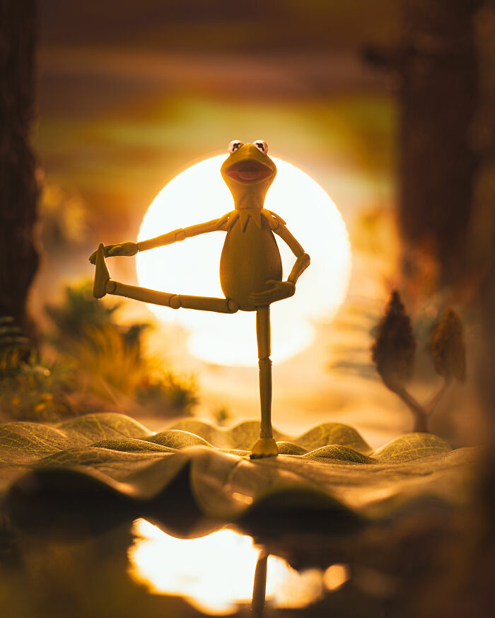 “The Mindful Muppet”