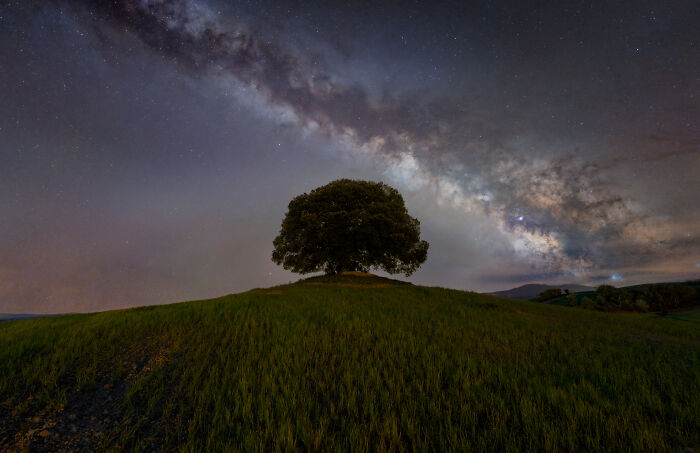 Leccio Milky Way