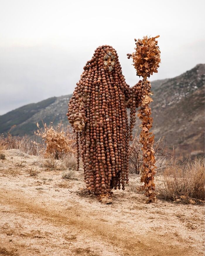 Where The Wild Awakens