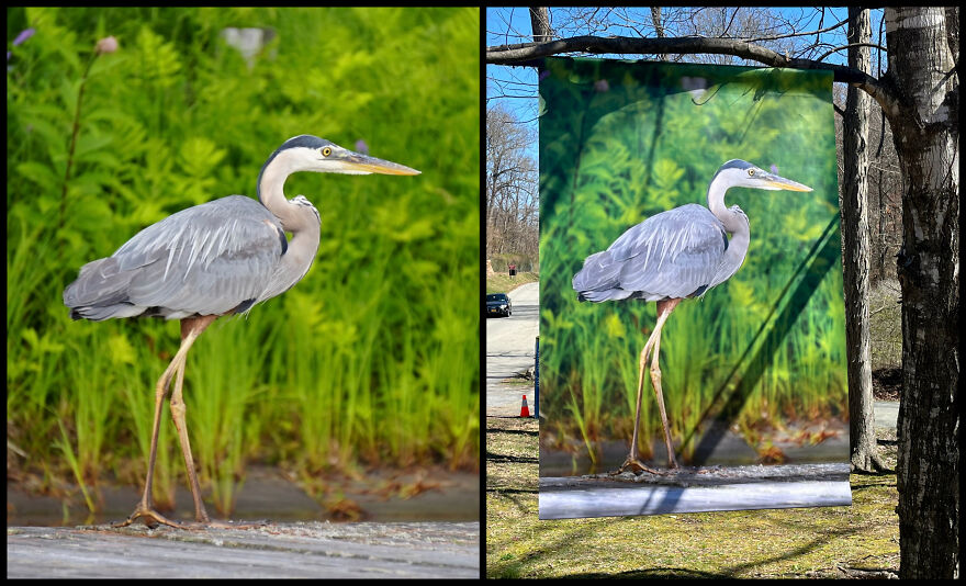 Nature In Focus: Nadira Gupta&rsquo;s Vision Comes Alive At Art In The Park