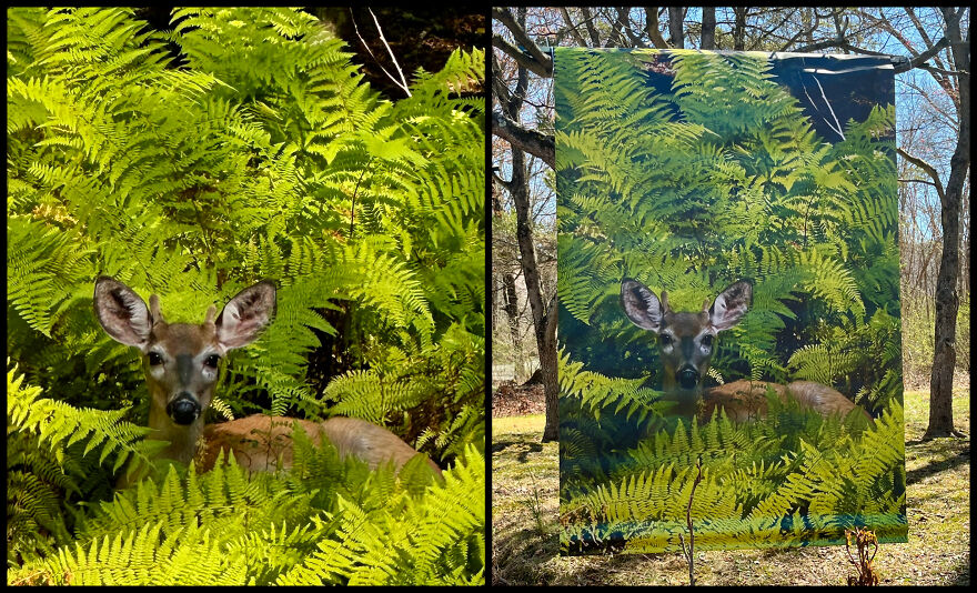 Nature In Focus: Nadira Gupta&rsquo;s Vision Comes Alive At Art In The Park