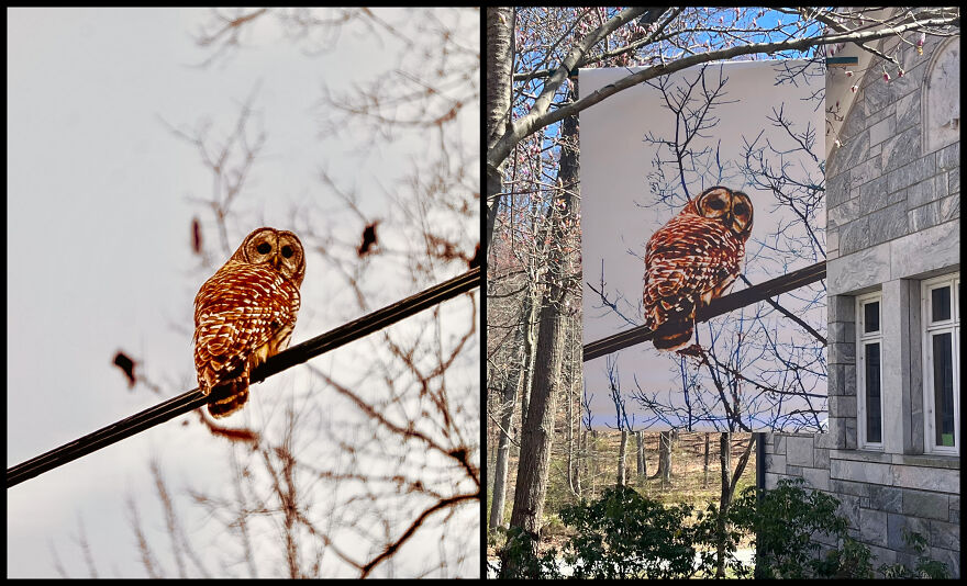 Nature In Focus: Nadira Gupta&rsquo;s Vision Comes Alive At Art In The Park