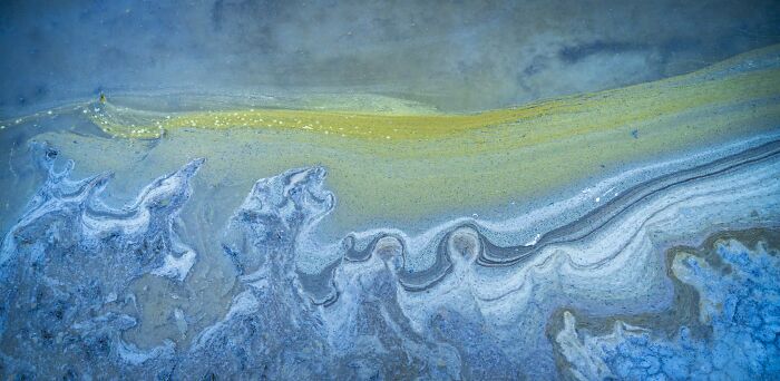 Natural Landscape, Finalist: Nature's Painting - Art From Cyanobacteria By Brian Clopp